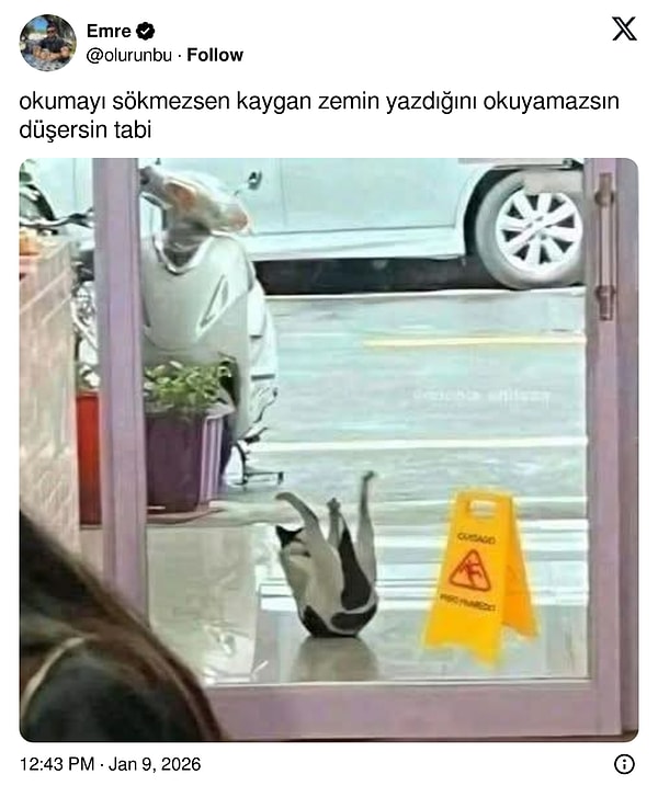 Tembelsiniz, kabul edin.