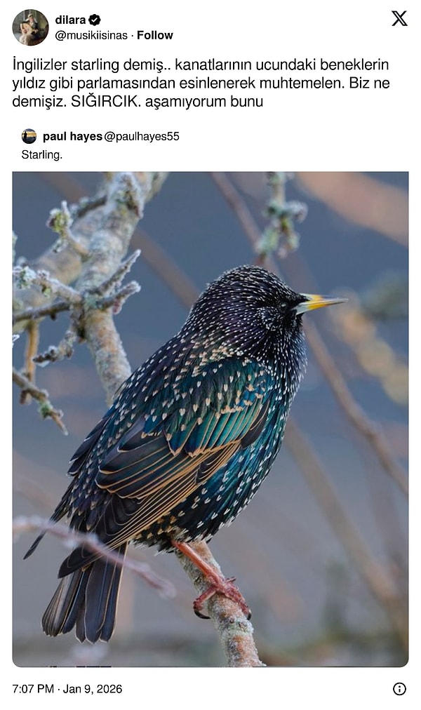 "Cık" eklemişiz en azından.