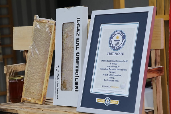 Ilgaz’da üretilen bal, dünyanın en pahalı balı olarak Guinness Rekorlar Kitabı'na girdi.
