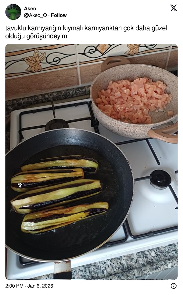 Üzerine tez yazılır;