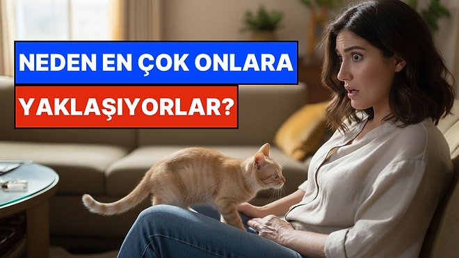 Kimsenin Görmediğini Görüyorlar: Kediler Neden Kendilerinden Kaçan İnsana Yaklaşır?