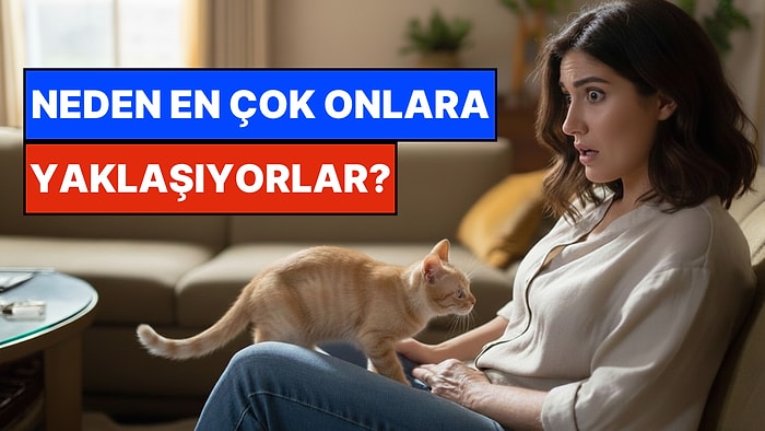 Kimsenin Görmediğini Görüyorlar: Kediler Neden Kendilerinden Kaçan İnsana Yaklaşır?