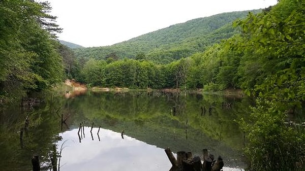 6. Ormanda bir göl var ve gölde yansımanı görüyorsun. Ne fark ediyorsun?