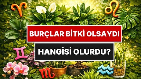 Koç Dayanıklı, Balık Şifacı: Burçlar Bitki Olsaydı Hangisi Olurdu?