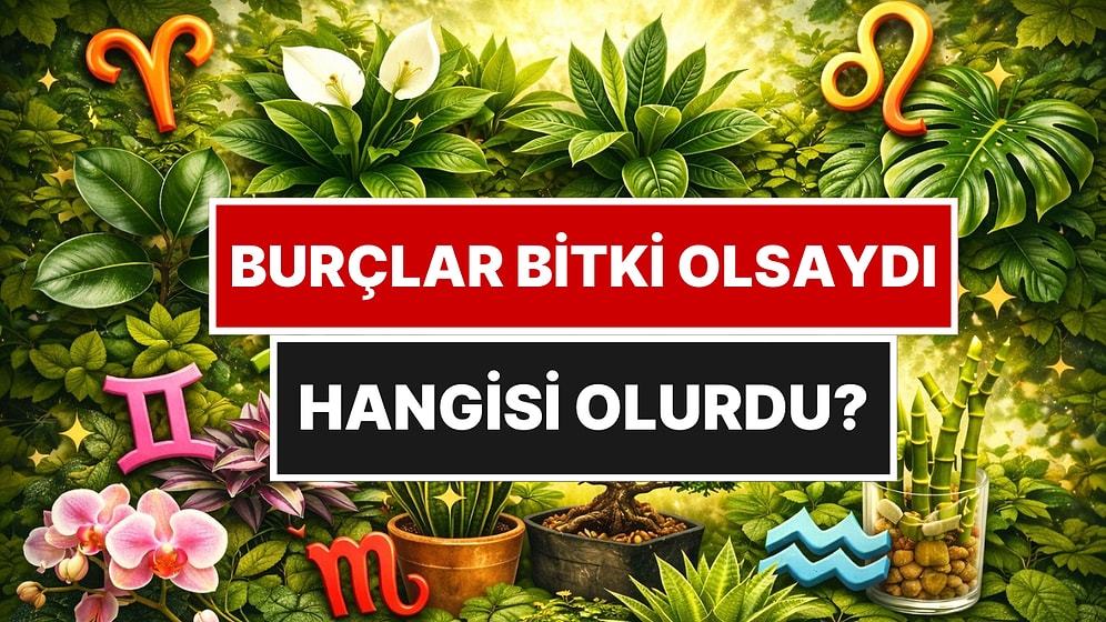Koç Dayanıklı, Balık Şifacı: Burçlar Bitki Olsaydı Hangisi Olurdu?
