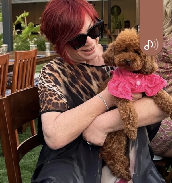 13 Ocak 2026 tarihinde İstanbul’da yürütülen geniş kapsamlı uyuşturucu soruşturması kapsamında, bir dizi ünlü isimle birlikte Emel Müftüoğlu’nun da gözaltına alındığı bildirildi.