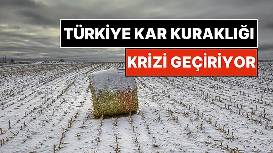 Türkiye Kar Kuraklığı Krizi Geçiriyor: "Kar Yağınca Seviniyoruz Ama Bizim İçin Tehlikeli"