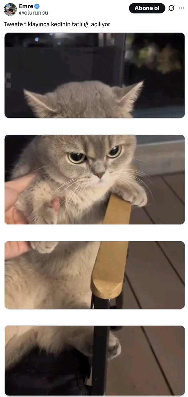 Gün geçmiyor ki X'te farklı bir akım başlamasın.