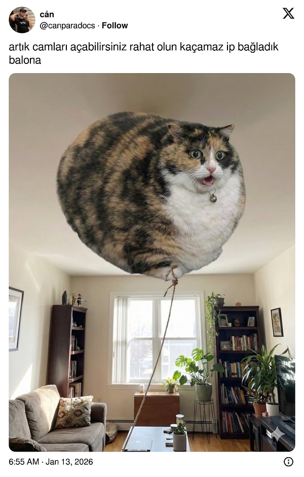 Görsel yeteneklerini kullananlar da oldu.