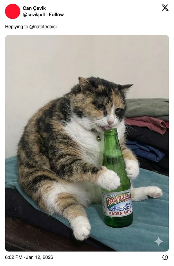 Tavsiyeler de geldi.