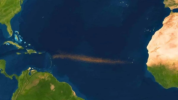 Bilim dünyası, bu aşırı büyümenin tek bir nedeni olmadığını, aksine birbirini besleyen bir faktörler silsilesi olduğunu vurguluyor.