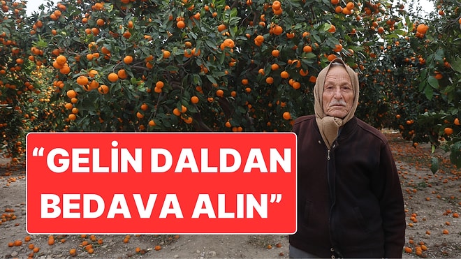 Hatay’da Dalda Kalan Mandalina İçin "Gelin Bedava İstediğiniz Kadar Alın" Çağrısı
