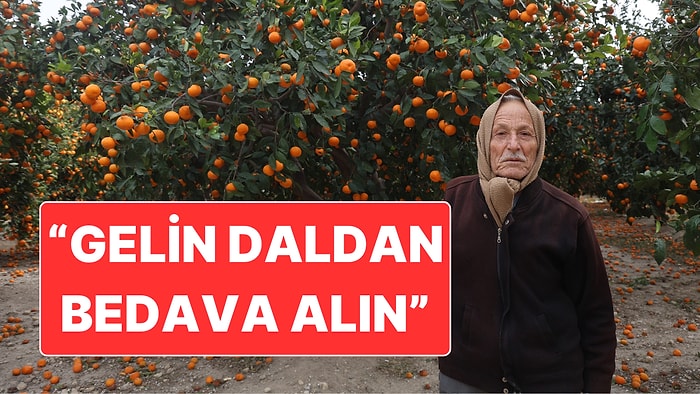 Hatay’da Dalda Kalan Mandalina İçin "Gelin Bedava İstediğiniz Kadar Alın" Çağrısı