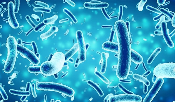 Gelelim bozuk etin nasıl anlaşılacağına.