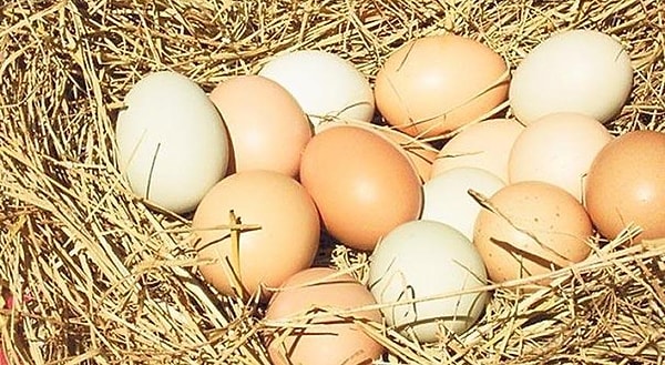 Özellikle barkodsuz yumurtalar hakkında uyarılarda bulunan gıda mühendisinin açıklaması şöyle;