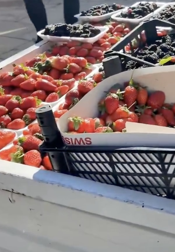Kaleiçi’nde çekilen eğlenceli bir video, sosyal medyada kısa sürede ilgi gördü.