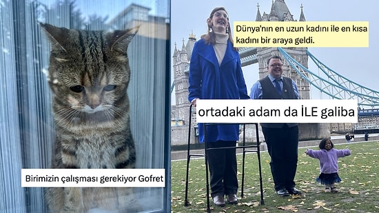 Hüzünlü Kedi Bakışından Akıl Dolu Yorumlara Son 24 Saatin Viral Tweetleri