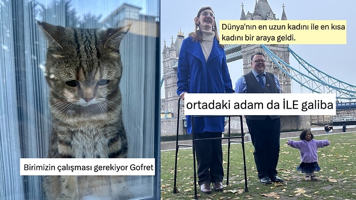 Hüzünlü Kedi Bakışından Akıl Dolu Yorumlara Son 24 Saatin Viral Tweetleri