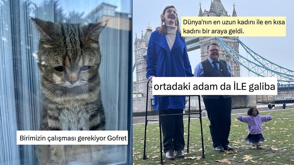 Hüzünlü Kedi Bakışından Akıl Dolu Yorumlara Son 24 Saatin Viral Tweetleri