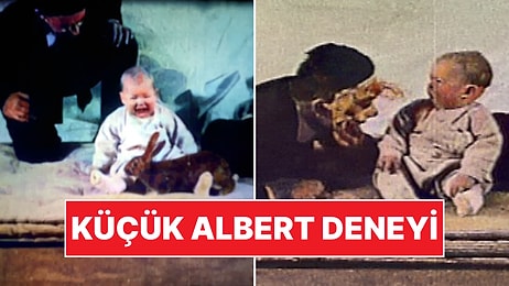 Bilim Dünyasının Kara Lekesi: Küçük Bebek Hayatı Boyunca Deneyin Etkisinden Çıkamadı