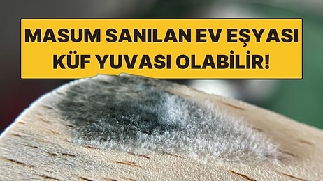 Her Evde Var: Masum Sanılan Ev Eşyası Küf Yuvasına Dönüşüyor