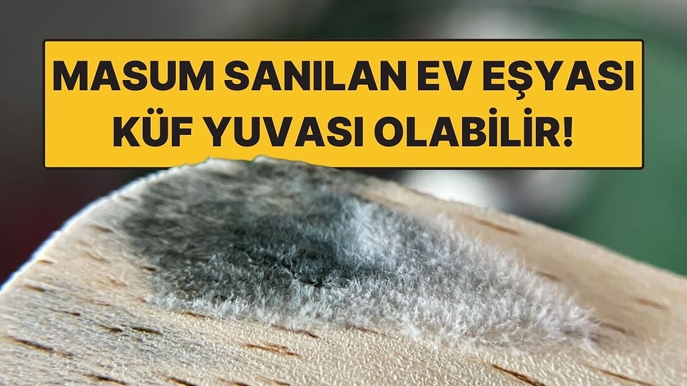 Her Evde Var: Masum Sanılan Ev Eşyası Küf Yuvasına Dönüşüyor