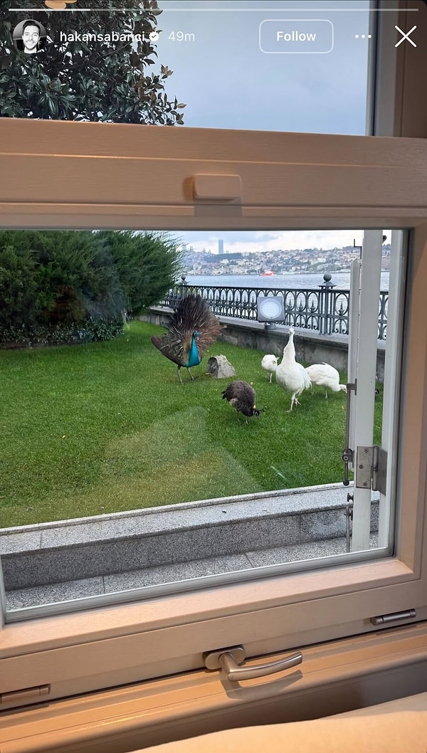 Son olarak, Hakan Sabancı’nın Boğaz manzaralı yalısının bahçesinden paylaştığı görüntüler dikkat çekti.
