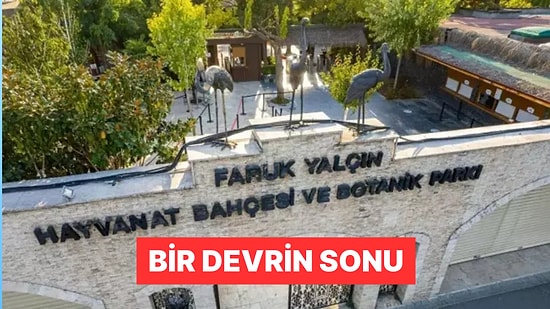 Bir Devrin Sonu: 33 Yıllık Darıca Hayvanat Bahçesi Kapatıldı