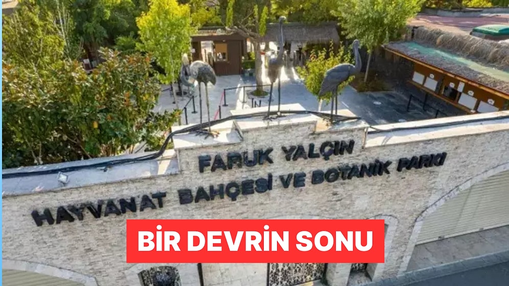 Bir Devrin Sonu: 33 Yıllık Darıca Hayvanat Bahçesi Kapatıldı