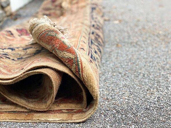 When we think of mold, walls come to mind, but the real danger lies on the floor.