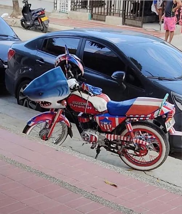 3. Sonunda köpek balıkları da yollara düştü...