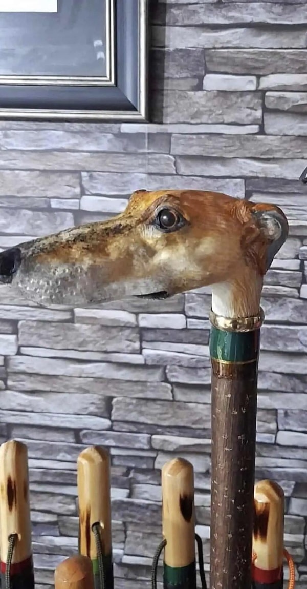 6. Bu gözler daha neler görecek... neler...