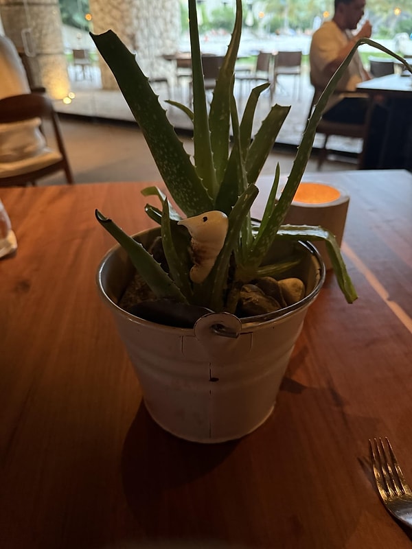 2. Saksı ve çiçek de yeniyor mu, peki?