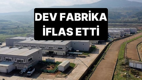 Büyük Umutlarla Kurulan Demir Çelik Fabrikası İflas Etti