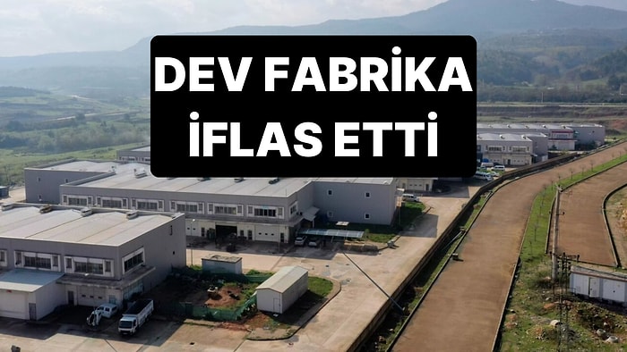 Büyük Umutlarla Kurulan Demir Çelik Fabrikası İflas Etti