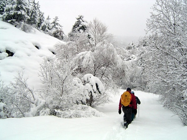 Kış aylarında kapalı alanlar ve kalabalıklar etkili oluyor.