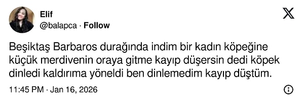 Köpeklerden öğreneceğimiz çok şey olduğunu kabullenmenin vakti gelmedi mi?