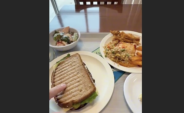 Peki son dönemde farklı milletlerden insanların Amerikan ordusuna katılmasının sebebi olan meşhur avantajlar neler?