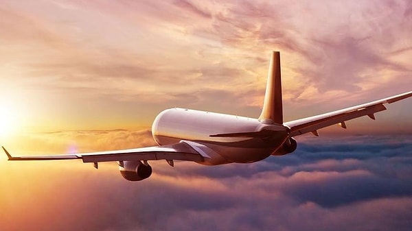 Yaşanan yolcu mağduriyetleri cezanın ana sebebi oldu.