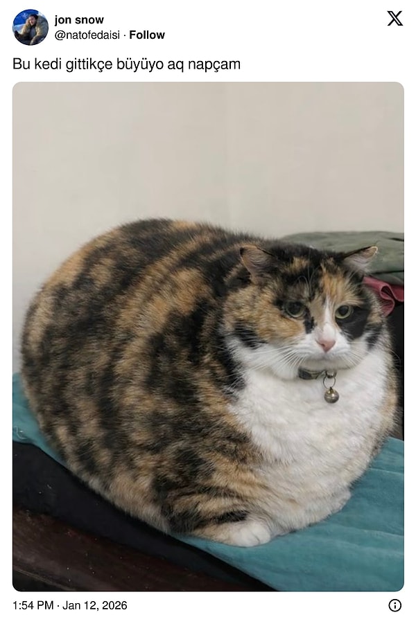 X’te birbirinden ilginç yardım çağrılarıyla sıkça karşılaşıyoruz.