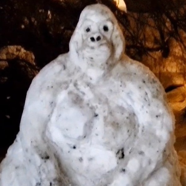 Hakkari'de kardan eserleriyle meşhur olan bir vatandaş bu yıl kardan goril yaptı.