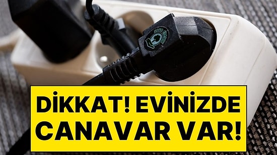 Dikkat! Evinizde Bir Canavar Var! 65 Buzdolabından Daha Fazla Elektrik Harcayan Ev Aleti Açıklandı