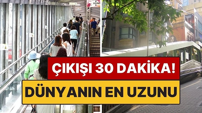 Dünyanın En Uzun Yürüyen Merdiven Yolculuğu: 30 Dakika Sürüyor, İniş Yok!