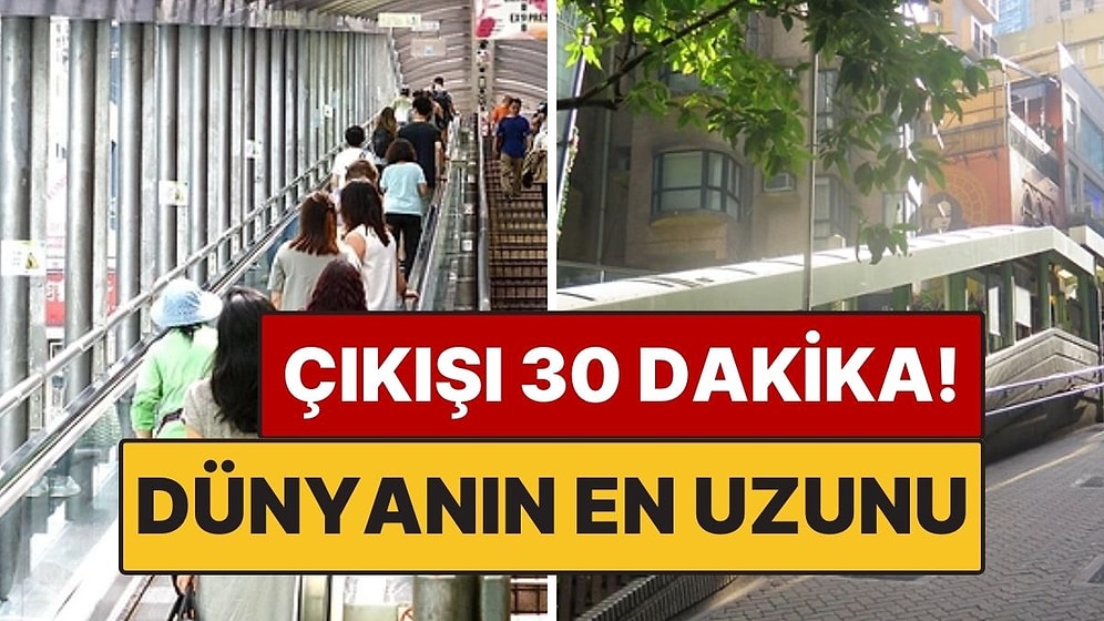 Dünyanın En Uzun Yürüyen Merdiven Yolculuğu: 30 Dakika Sürüyor, İniş Yok!