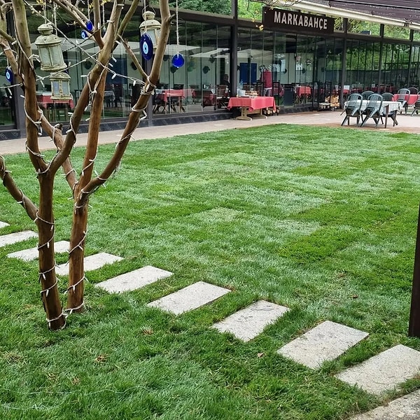 Markabahçe Restaurant