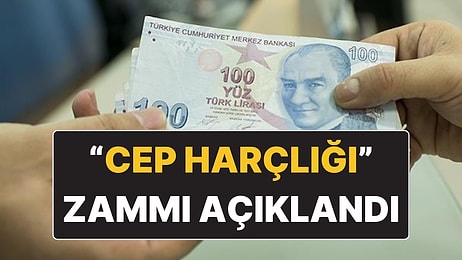 İŞKUR Programı Kapsamında İş Arayanlara Ödenen “Cep Harçlığı” Günlük 1375 Lira Oldu