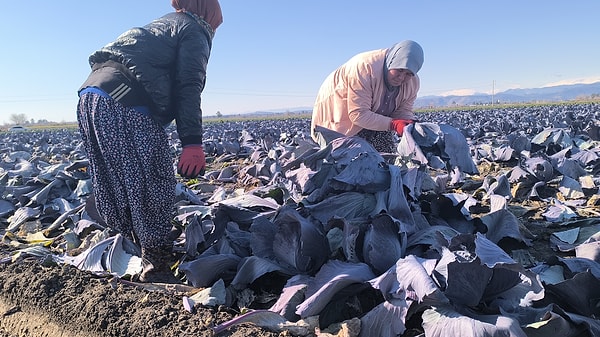 İşçilerin talebi günlük yevmiyenin bin 500 lira olması.