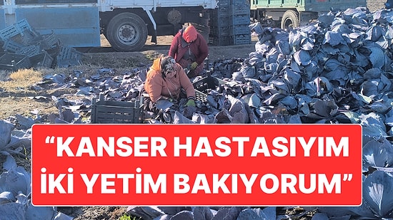 Osmaniye’de Karalahana Tarlasında Çalışan Tarım İşçilerinin Hayata Tutunma Çabası
