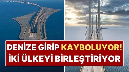 İki Ülkeyi Birleştiren Sıra Dışı Köprü! Denize Girip Kayboluyor