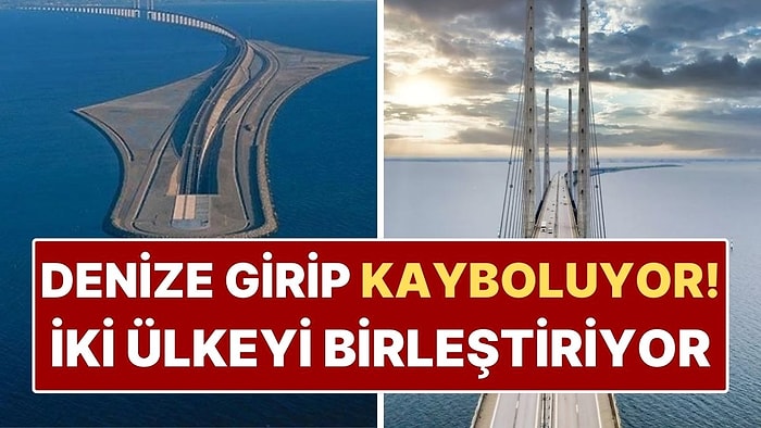 İki Ülkeyi Birleştiren Sıra Dışı Köprü! Denize Girip Kayboluyor